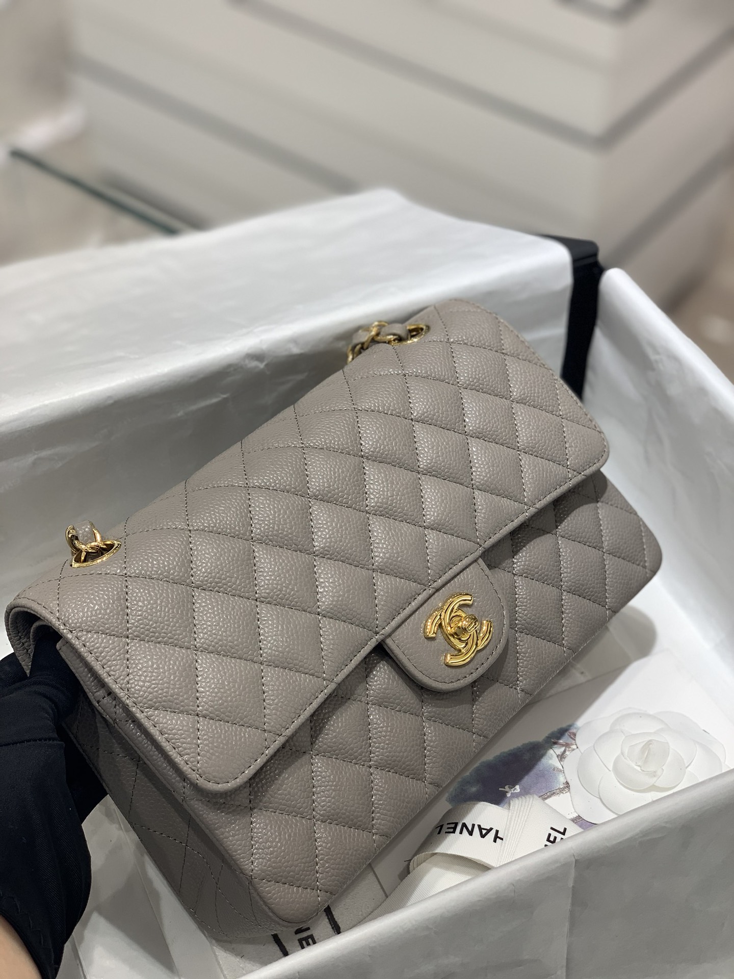 Chanel CF 25cm 新颜色️大象灰+亮金扣 法国原厂Haas球纹鱼子酱牛皮 中号25cm-广州尚美皮具_原单包包工厂货源 Chanel CF 25cm 新颜色️大象灰+亮金扣 法国原厂Haas球纹鱼子酱牛皮 中号25cm
