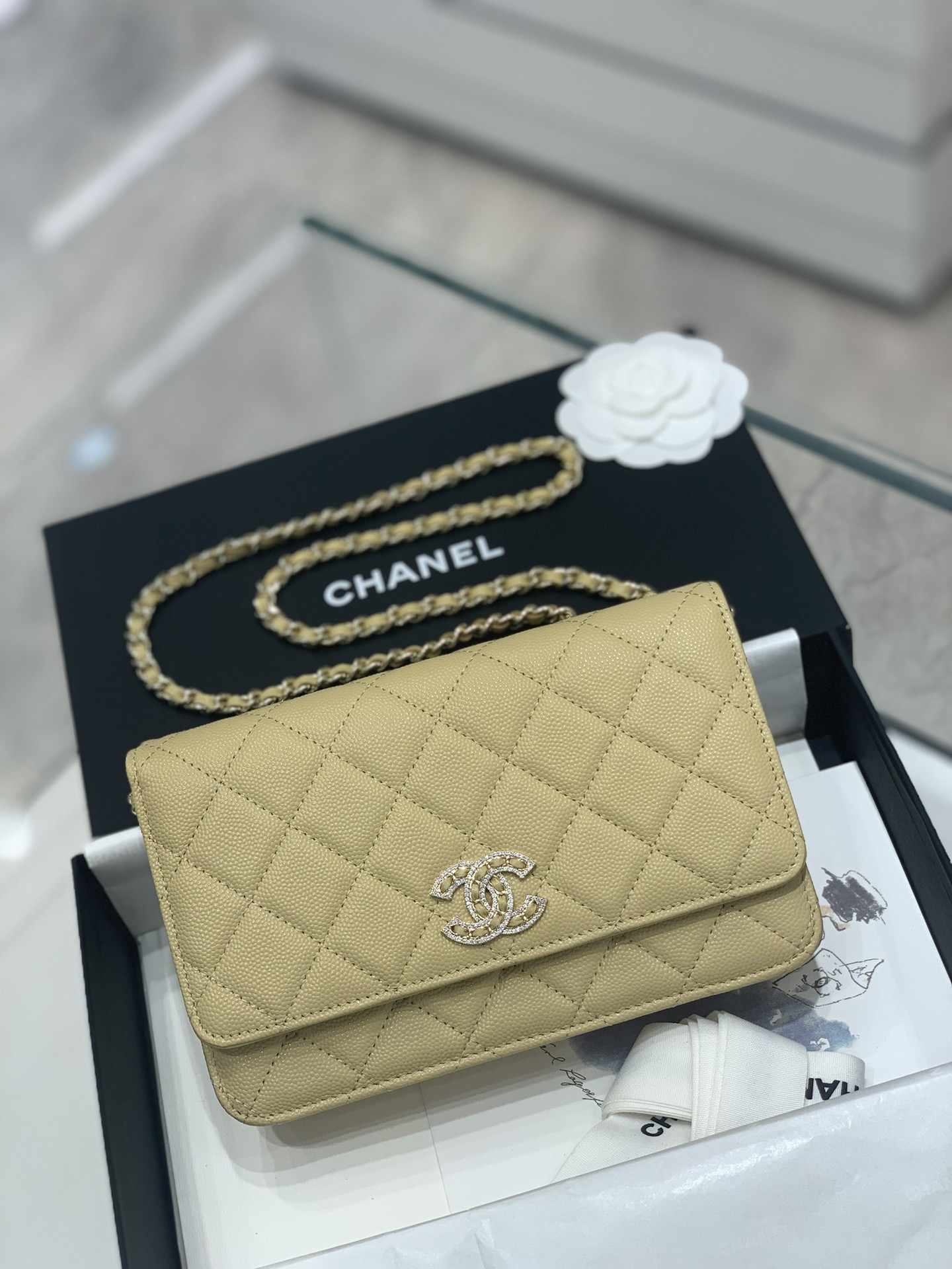 Chanel Beige Shiny Quilted Calfskin Perfect Fit Wallet On Chain WOC Gold  Hardware 2022 Available For Immediate Sale At Sothebys